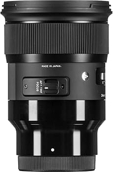 Amazon.co.jp: SIGMA 単焦点広角レンズ 24mm F1.4 DG HSM | Art A015