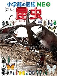 Amazon.co.jp: 小学館の図鑑NEO〔新版〕昆虫 電子書籍: 小池啓一, 小野