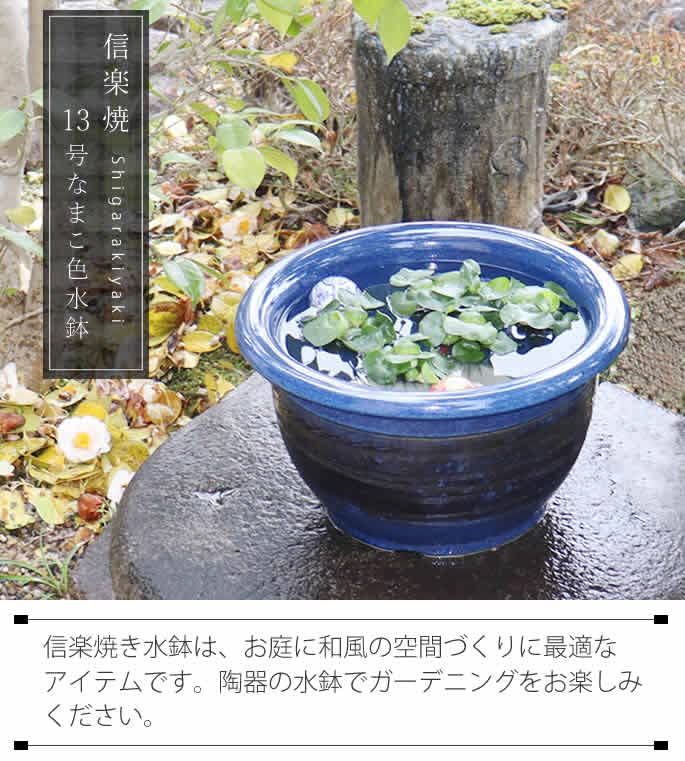 Amazon | 信楽焼 13号ナマコ色 すいれん鉢 メダカ鉢 睡蓮鉢 スイレン鉢