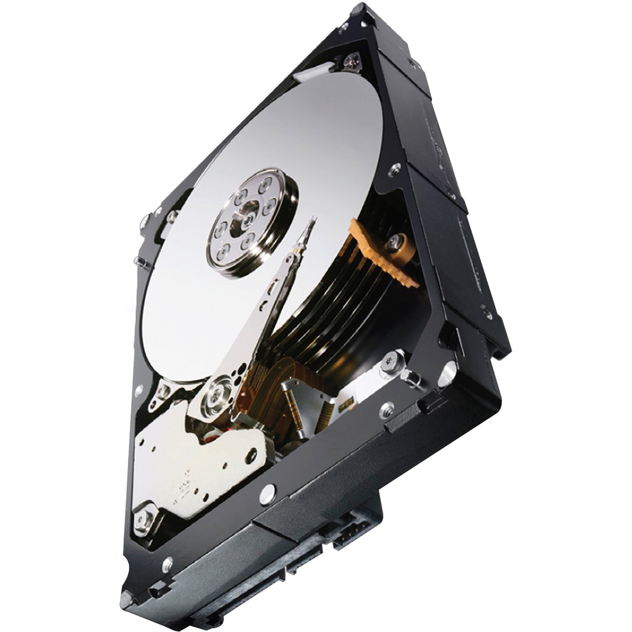 Seagate ST1000NM0033 Enterprise Capacity 3.5-Inch HDD