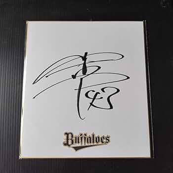 61T5DLPbOVL._AC_UF350,