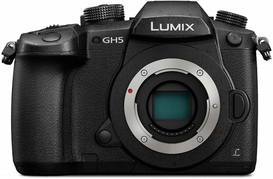 Amazon.com : Panasonic LUMIX GH5 4K Mirrorless Digital Camera