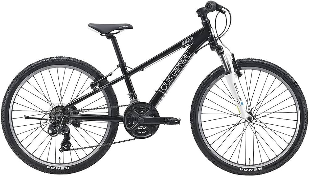 Amazon | ルイガノ 2024年モデル スポーツ 子供 自転車 J24 LOUIS