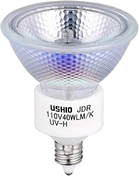 61UMrWFfTwL._AC_UF350,