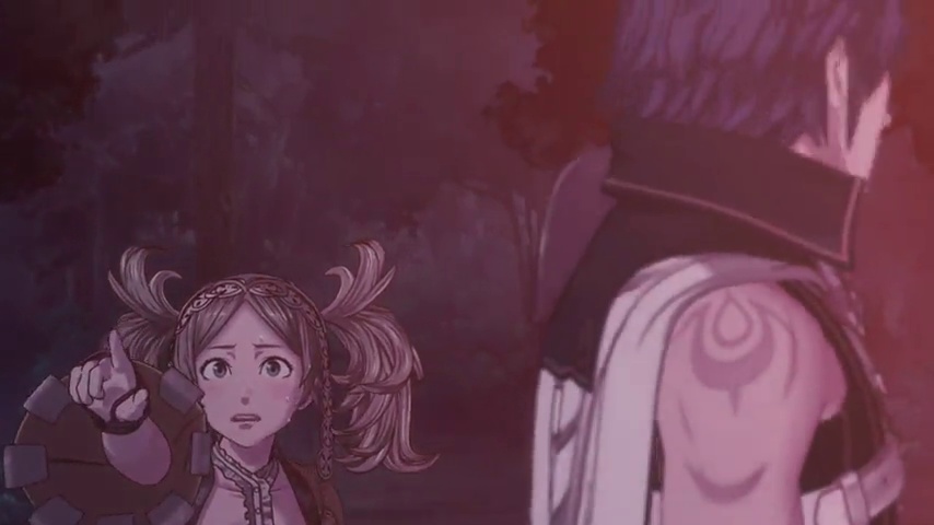 Amazon.com: Fire Emblem: Awakening : Nintendo of America: Video Games