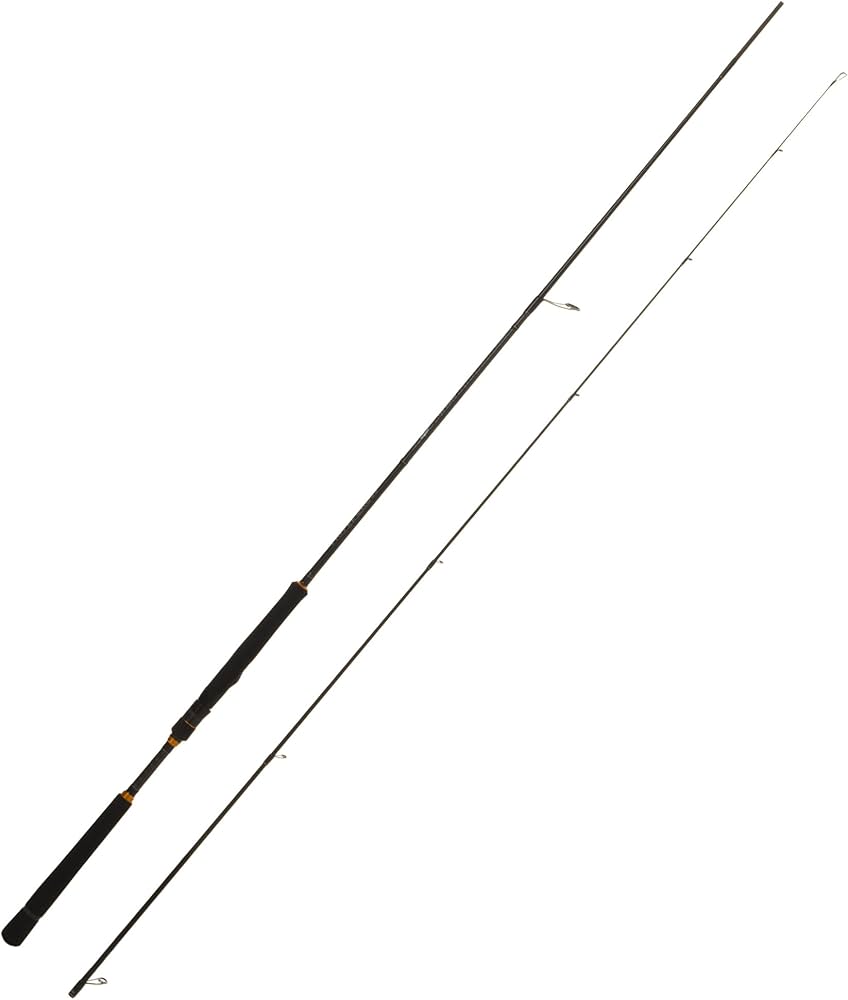 Amazon | Major Craft(メジャークラフト) ライトショアジギングロッド