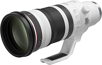 Amazon.com : Canon RF100-300mm F2.8 L is USM, RF Lens, Mirrorless