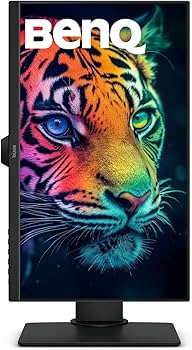 Amazon.com: BenQ GW2480T Computer Monitor 24