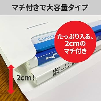 Amazon | Esselte エセルテ ソーテッド6段 ジャンボ 大容量 3WAY