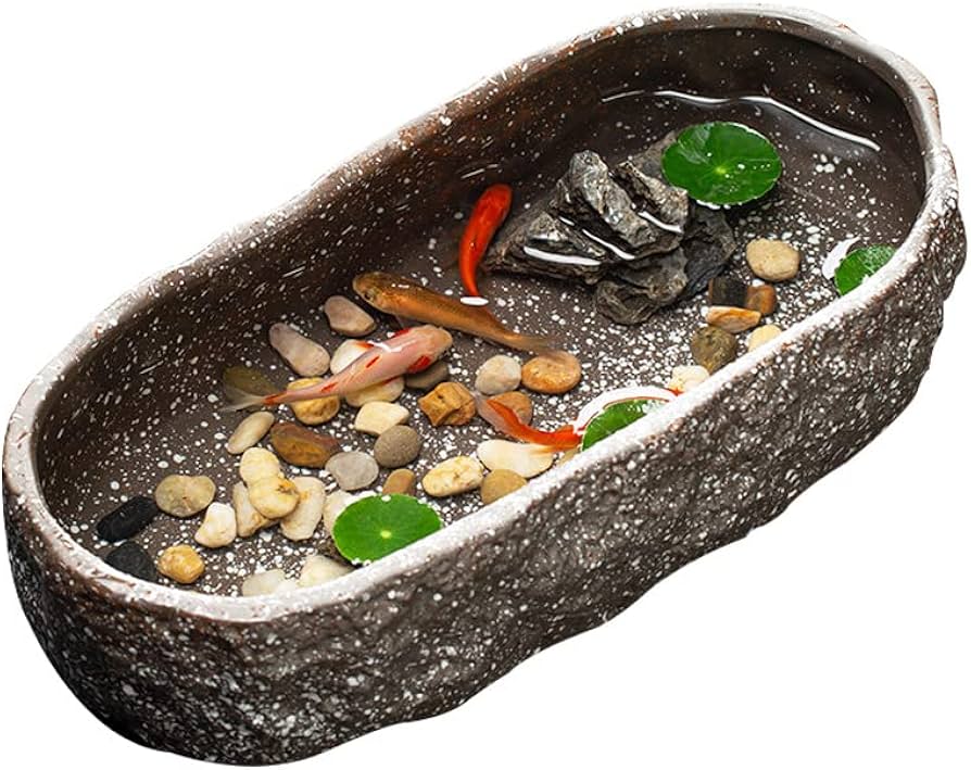 Amazon.co.jp: 金魚鉢 金魚 メダカ 鉢 メダカ鉢 睡蓮鉢 水耕植木鉢 亀