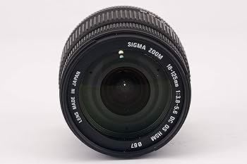 Amazon.com : Sigma 18-125mm f/3.5-5.6 AF DC OS HSM Zoom Lens for