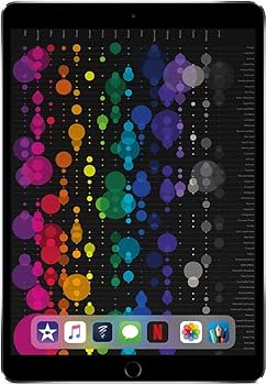 Amazon.co.jp: Apple iPad Pro (10.5インチ, Wi-Fi, 64GB) - スペース