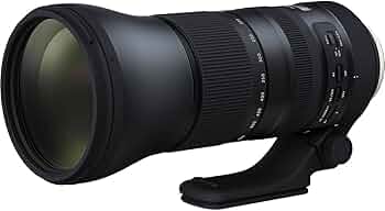 61WQbNoQquL._AC_UF350,