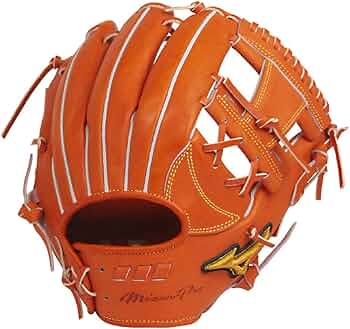 61WfGBnggyL._AC_UF350,