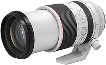 Amazon.com : Canon RF70-200mm F2.8 L is USM Lens, Mirrorless