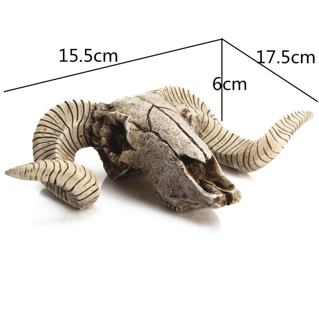 Amazon.co.jp: Hellery 羊の頭蓋骨 頭骨オブジェ 壁掛け 彫像 壁飾り