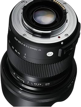 Amazon.com : Sigma 17-70mm F2.8-4 Contemporary DC Macro OS HSM