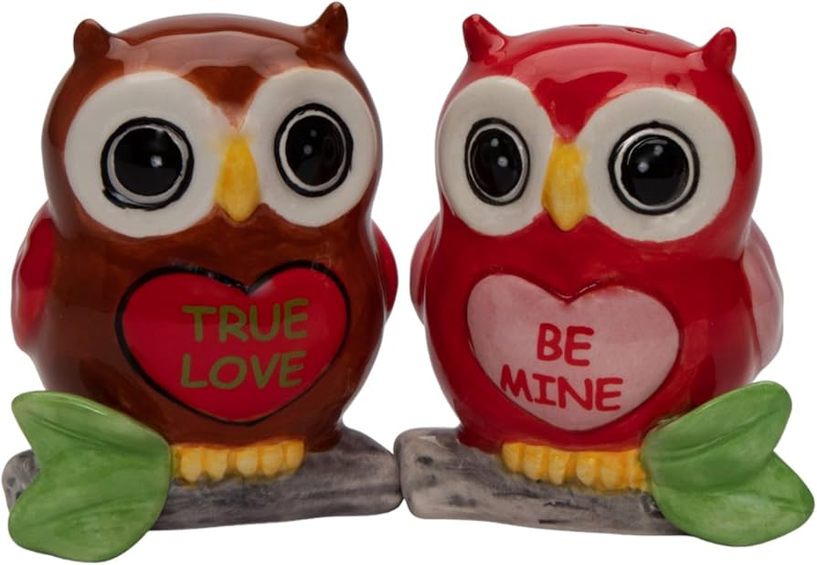Amazon.com: 21046 Fine Ceramic Valentine Love Owl Couple Salt
