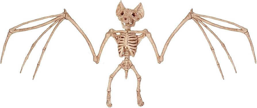 Amazon.co.jp: [透明標本制作所]恐怖！コウモリの骨 レプリカ[骨格標本