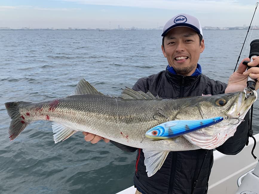 Amazon | TRANSCENDENCE トランスセンデンス レイトブルーミングス 510