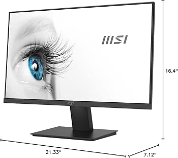 Amazon.com: msi PRO MP241X Monitor 24