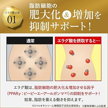 Amazon | 【公式】倖田來未 完全プロデュース キラーバーナー 2 機能性