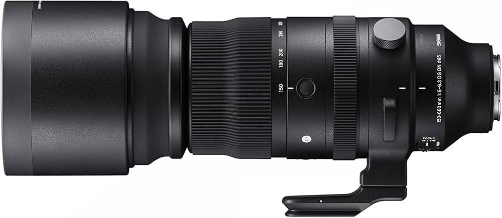Amazon.co.jp: シグマ(Sigma) レンズ 150-600mm F5-6.3 DG DN OS Sony