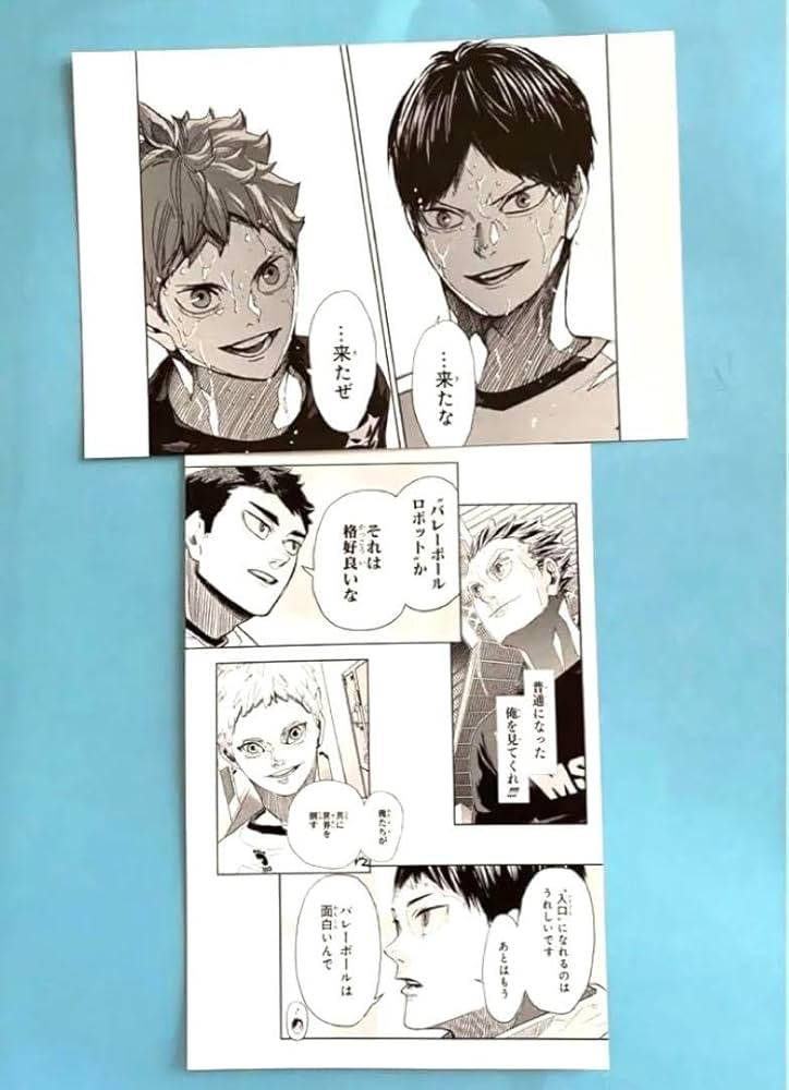 Amazon.co.jp: ハイキュー Vリーグ チームセット ポストカード2枚 日向