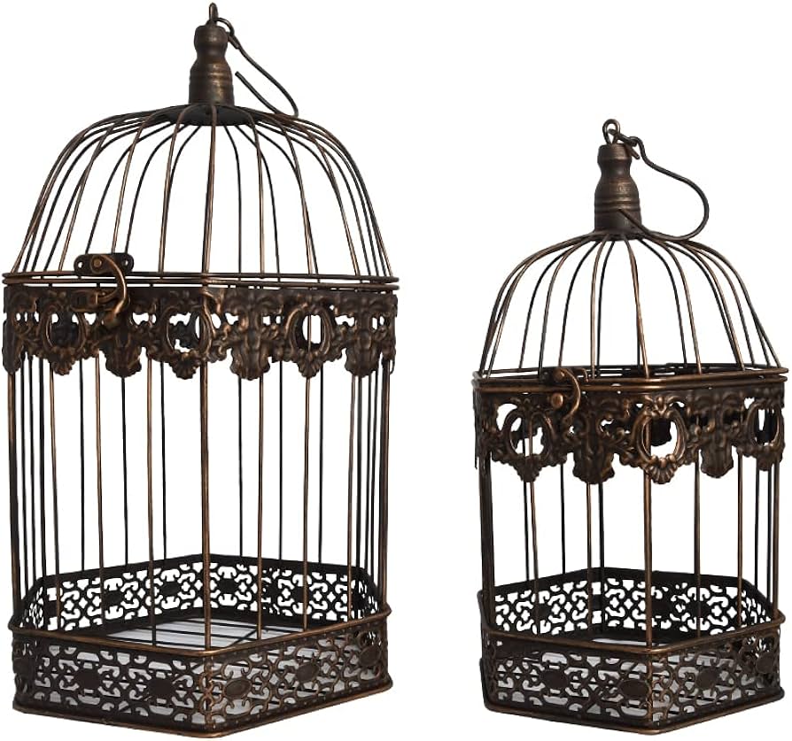 Amazon.co.jp: 鳥かご とりかご インテリア アイアン 鳥籠 置物 置き物