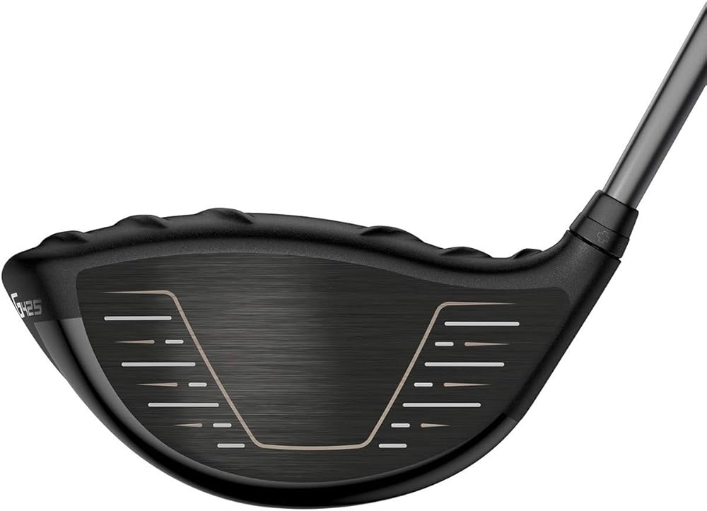 Amazon.co.jp: PING(ピン) G425 MAX ゴルフ ドライバー PING TOUR173