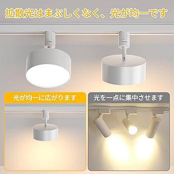 Amazon.co.jp : TuyuBEE 無段階調光調色可能 ダクトレール スポット