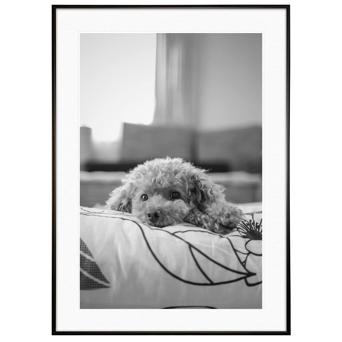 Amazon.co.jp: インテリアアート ポスター 動物写真 犬 トイプードル