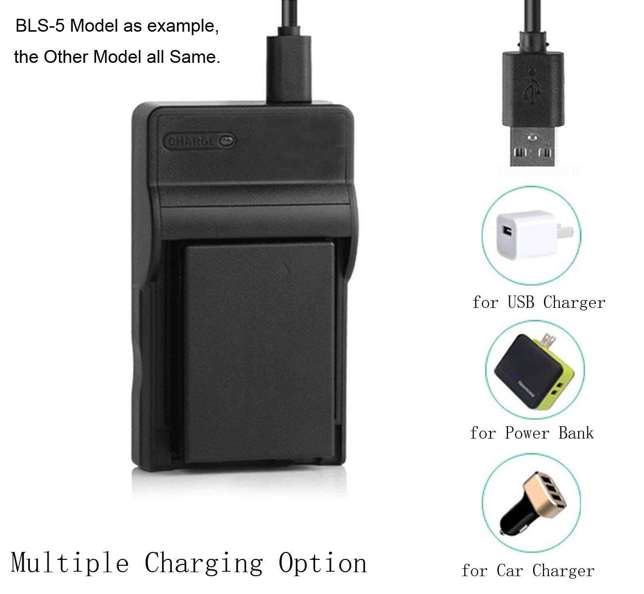 Amazon.com : Battery Charger for Canon VIXIA HF M30, HF M31, HF