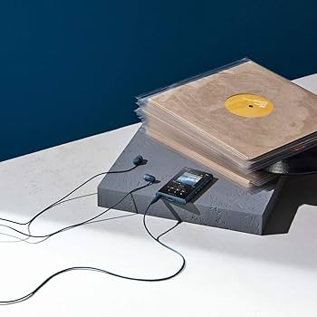 Amazon.co.jp: ソニー ウォークマン 16GB Aシリーズ NW-A105HN