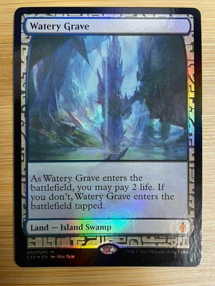 Amazon.co.jp: MTG 湿った墓 Watery Grave EXP Foil : おもちゃ