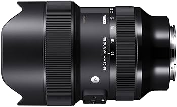 Amazon.co.jp: シグマ(Sigma) レンズ 14-24mm F2.8 DG DN Sony ソニー