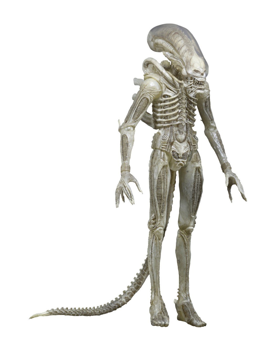 Amazon.com: NECA Alien 1/4 Scale Translucent Prototype Suit