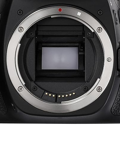 Amazon.com : Canon EOS 80D Digital SLR Camera Body (Black