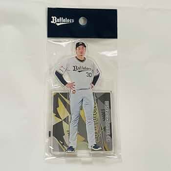 61beUH3CbvL._AC_UF350,