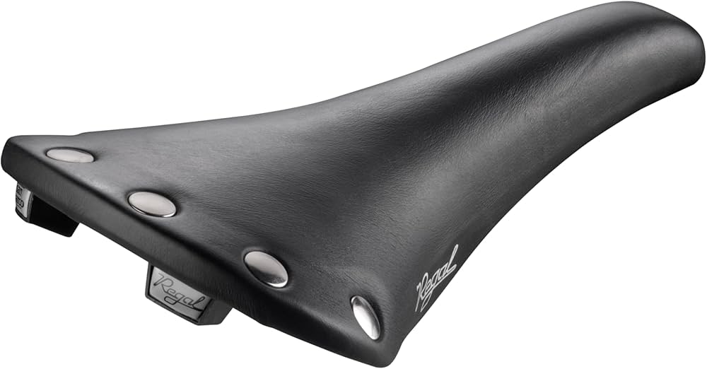 Amazon | セラサンマルコ（SELLE SAN MARCO） 自転車用サドル リーガル