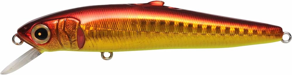 Amazon.co.jp: メガバス(Megabass) ルアー X-92SW EDONIS GG アカキン