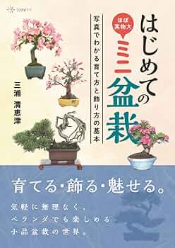 はじめてのミニ盆栽──写真でわかる育て方と飾り方の基本 | 三浦清