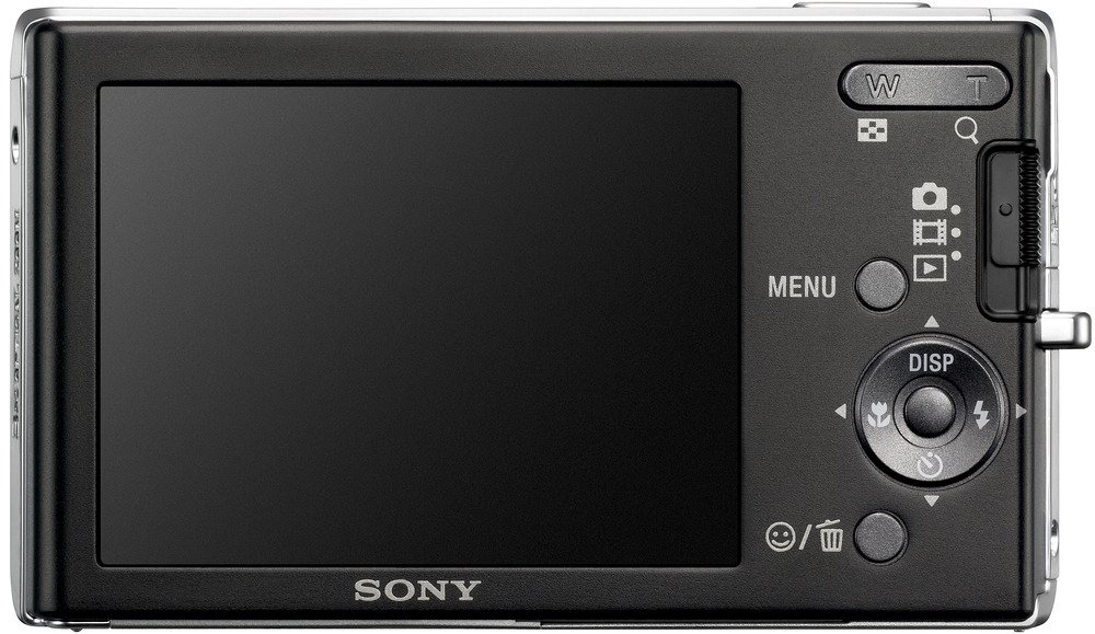 Amazon.com : Sony Cybershot DSC-W190 12.1MP Digital Camera with 3x