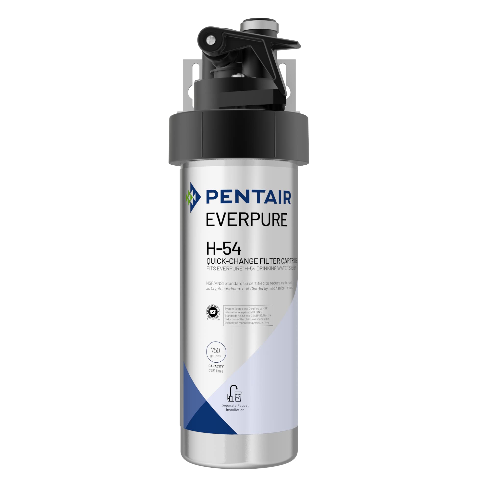 Amazon.com: Pentair Everpure H-54 Drinking Water System, EV925267