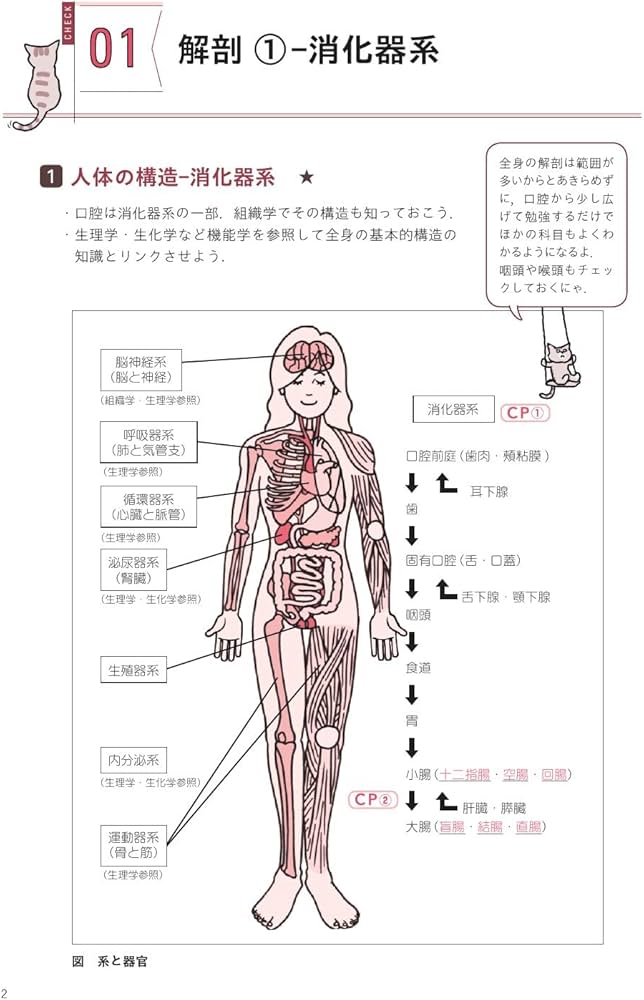 歯科衛生士国家試験直前マスター1 チェックシートでカンペキ! 基礎科目