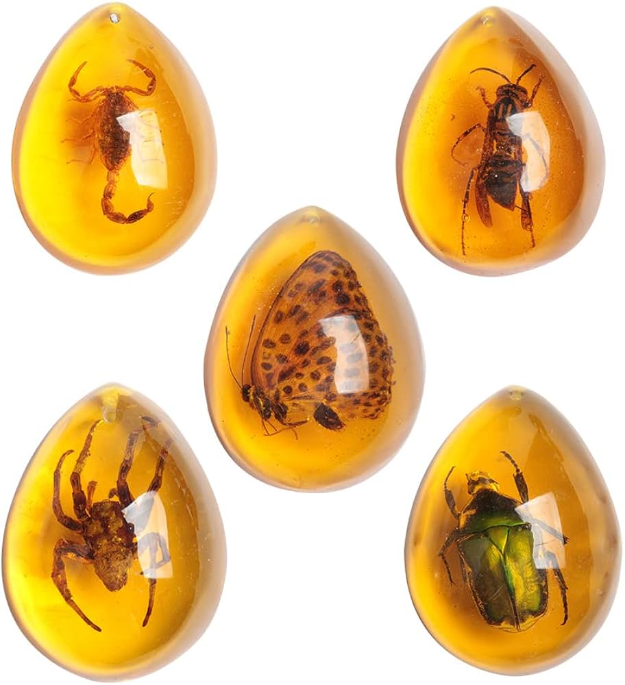 Amazon.co.jp: Acxico 5個 アンバー化石 昆虫サンプルストーン