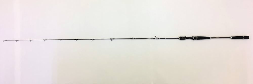 Amazon | ゼロドラゴン(ZERO DRAGON) 電動ジギング ロッド EJ641