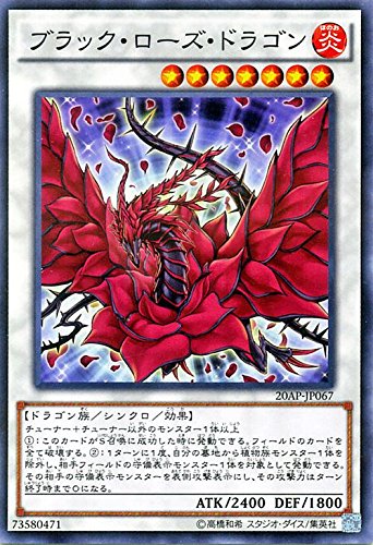Amazon.co.jp: 遊戯王 ブラック・ローズ・ドラゴン ノーマルパラレル