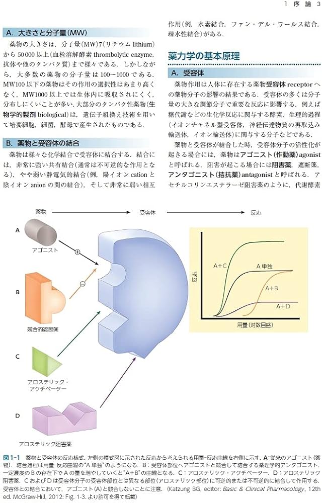 カッツング薬理学 エッセンシャル 原書12版 (Lange Textbookシリーズ