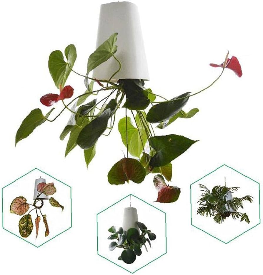 Amazon.co.jp: BLOSSOMLIFE ハンギングプランターポット 逆さま